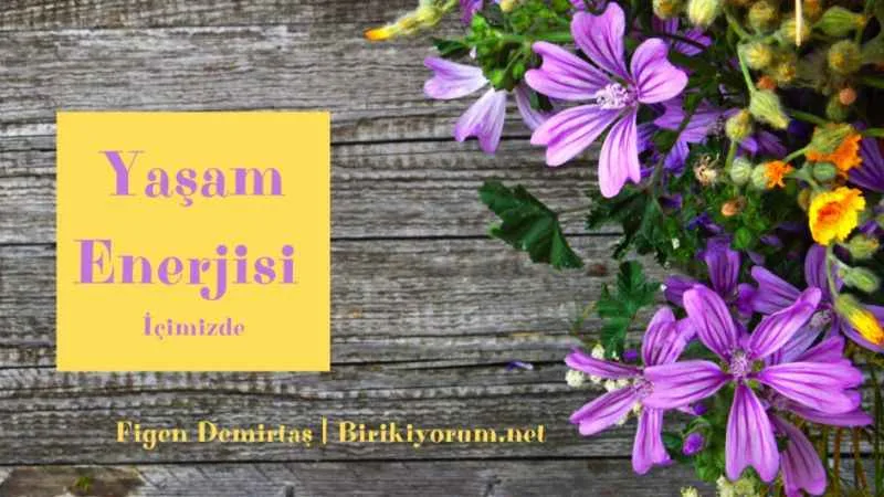 Yaşam Enerjisi İçimizde, Eğer Bakmayı Bilirsek