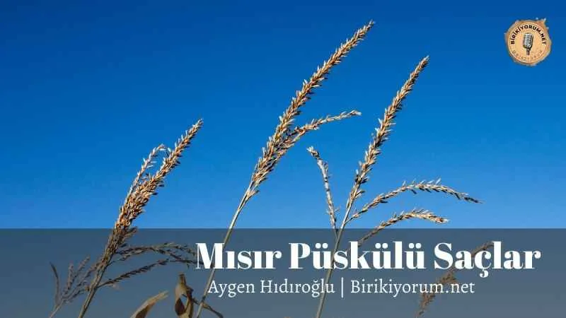Mısır Püskülü Saçlar
