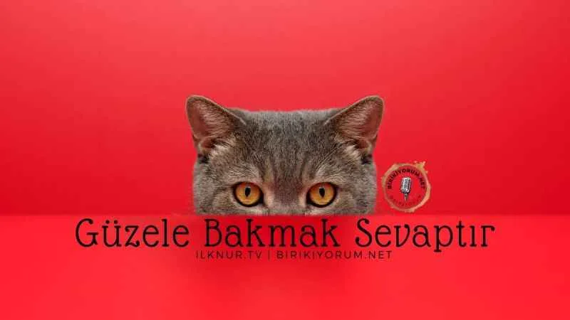 Güzele Bakmak Sevaptır