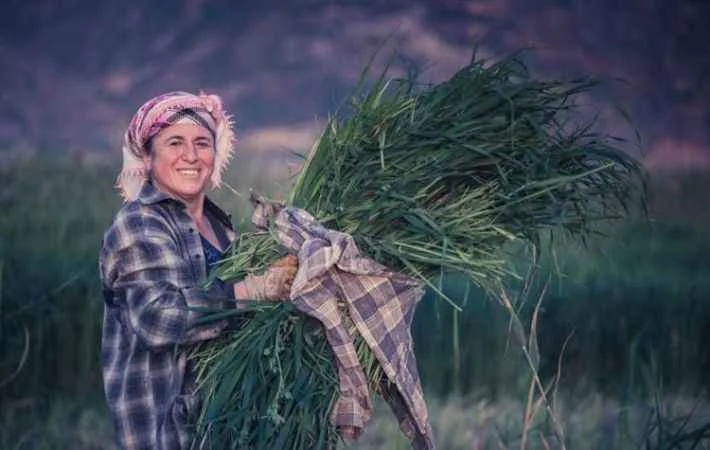 Dünya Kadın Çiftçiler Günü
