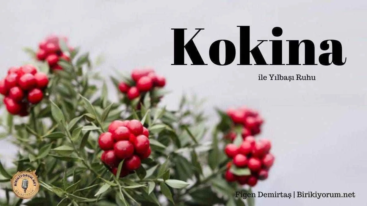 Kokina ile Yılbaşı Ruhu